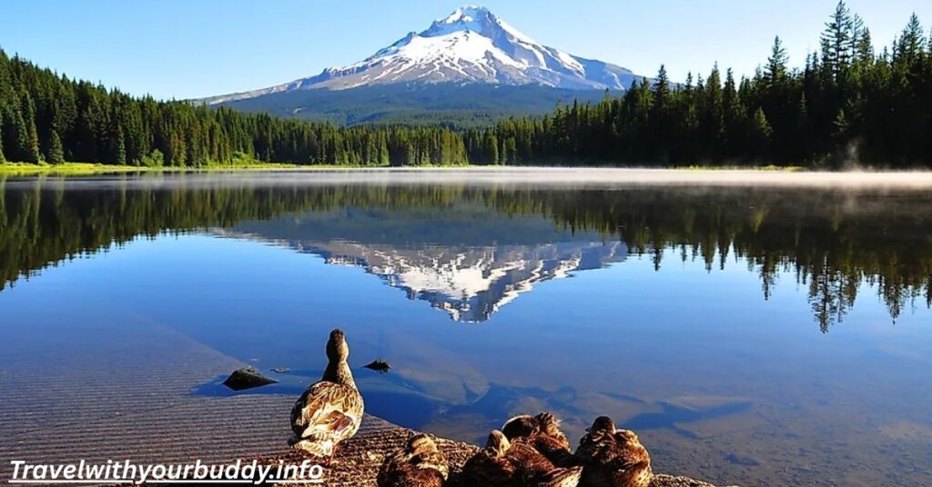 What is the Highest Mountain in the USA?